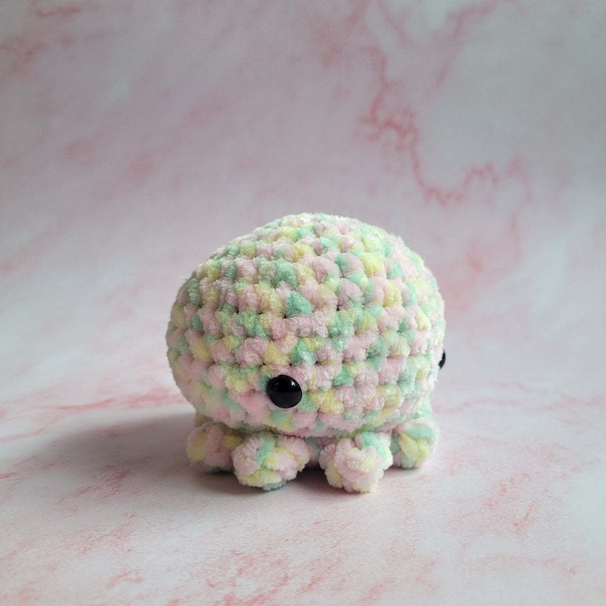 Octobuddy - FINAL STOCK