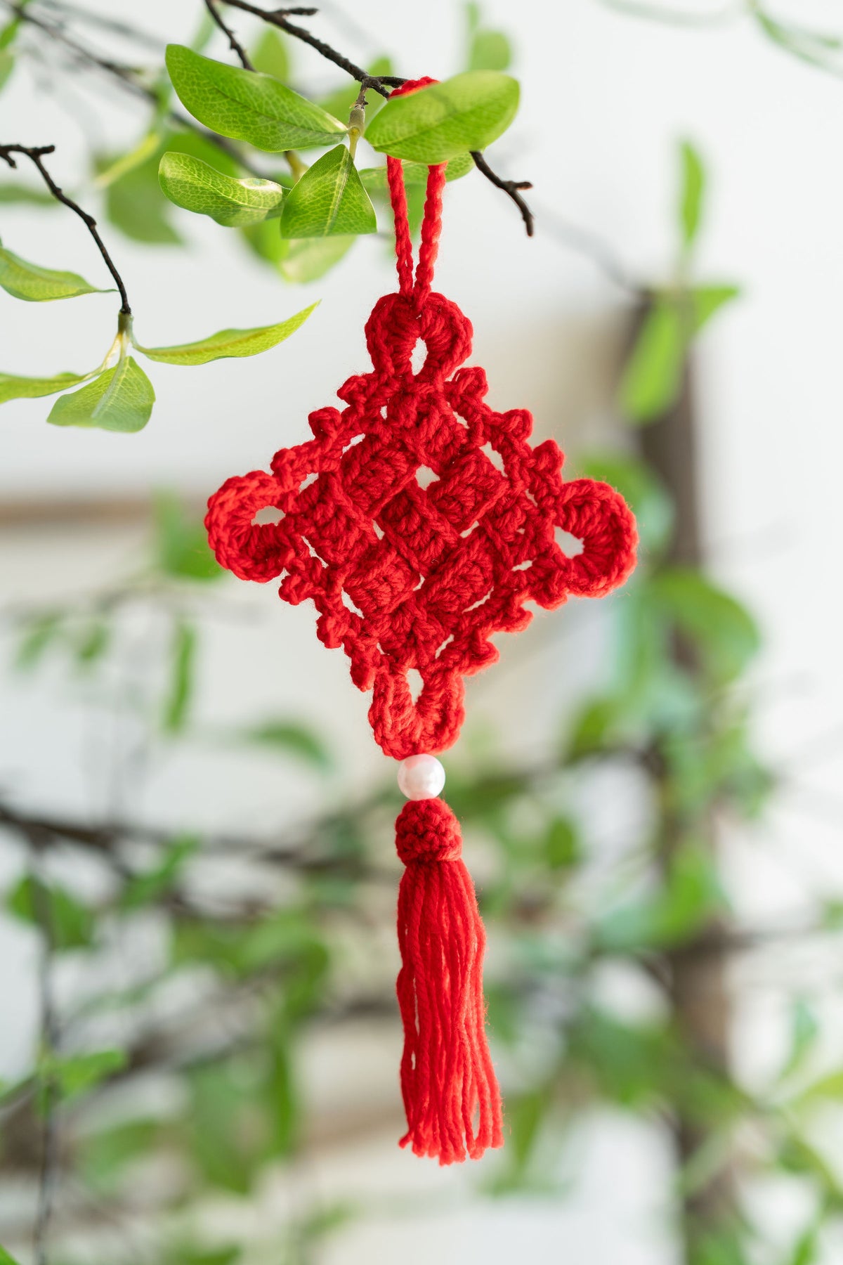 Chinese Knot